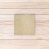 TE0003-10x10