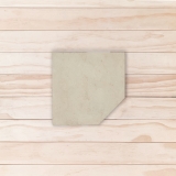TE0006-10x10